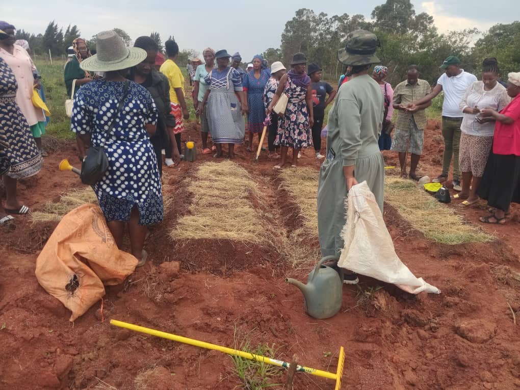 OGKCO Activity - November 27, 2024 - 12:25:57